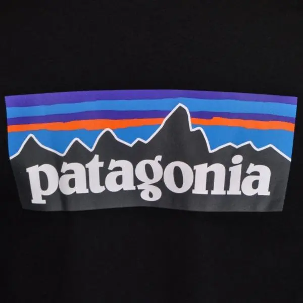 Patagonia P-6 Logo Responsibili Tee Black - Image 3